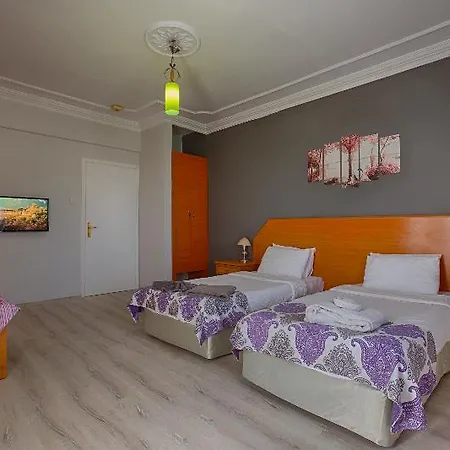 Hotel H.m.a. & 3*